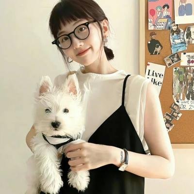 雪地黄金犬2